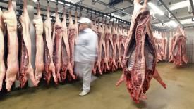 Экспорт свинины из России может вырасти на 5–6%